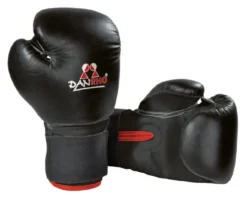 DANRHO Boxhandschuhe Ergo Fight 10oz