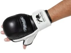 FIGHTNATURE MMA Sparring Handschuhe Leder -Kampfsport Verkauf fightnature mma sparring handschuhe leder 854068301 2 1280x1280