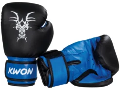 Kinder Boxhandschuhe Mini Drache -Kampfsport Verkauf kwon kinder boxhandschuhe mini drache 4003704 3 1280x1280