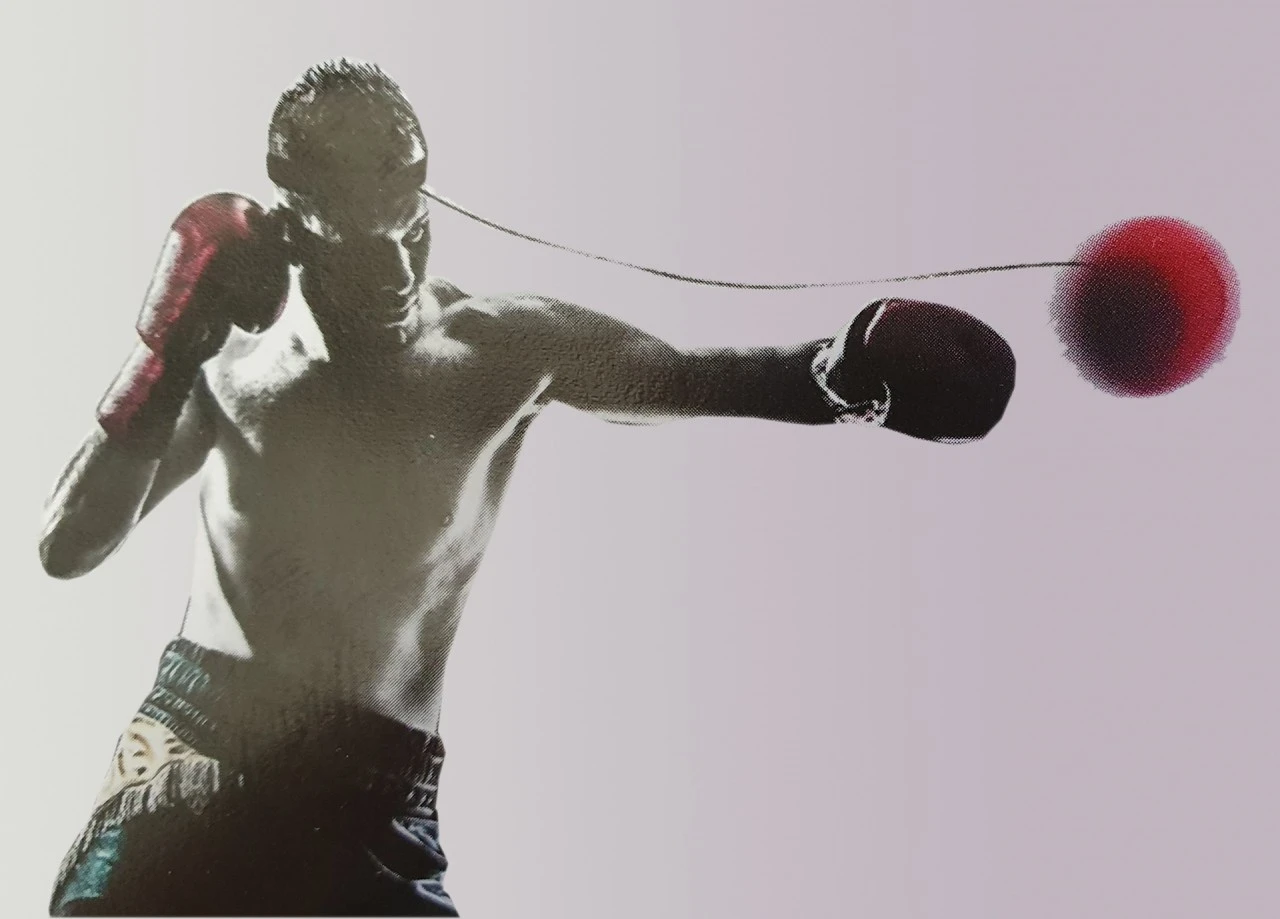 Reflexball Boxen 2 Reflexball Boxen – Bild 2