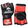 LEGION OCTAGON MMA Handschuhe Fight