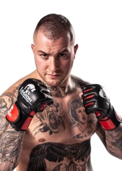 LEGION OCTAGON MMA Handschuhe Fight -Kampfsport Verkauf legion octagon mma handschuhe fight 4068402 2 1280x1280