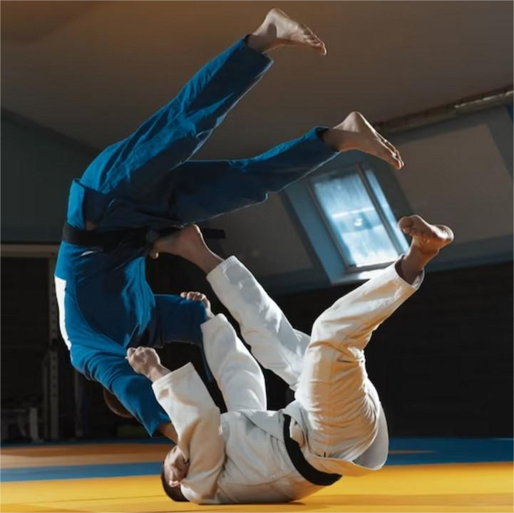 Kampfsport Verkauf -Kampfsport Verkauf jiu jitsu la gi.thumb .800.48011